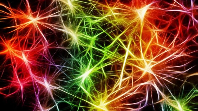 Mit Hypnose Neuronale Netzwerke Neu Organiseren