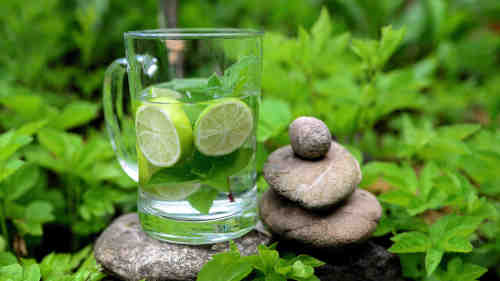 Willkommen - Arzt-Praxis Dr. Fiddike - ganzheitliche Allgemeinmedizin 4 Naturheilkunde und Selbstheilungskraft