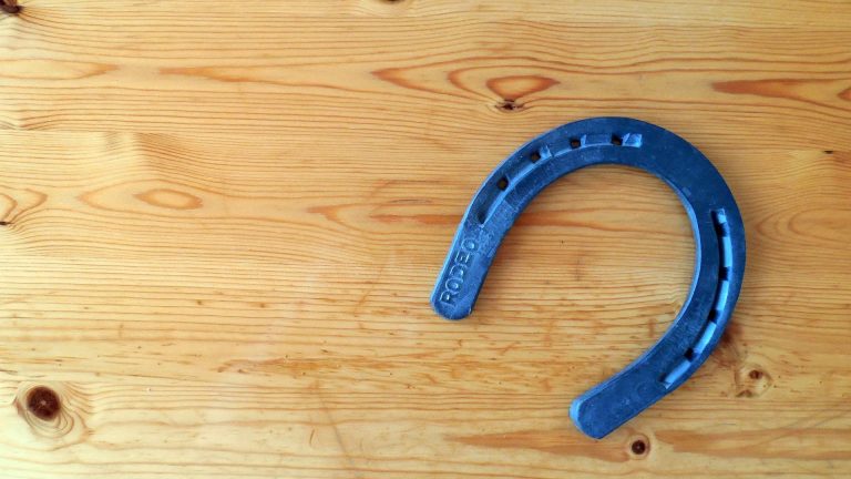 Willkommen - Arzt-Praxis Dr. Fiddike - ganzheitliche Allgemeinmedizin 4 Orga